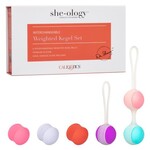 Cal Exotic Novelties She-Ology Interchangeable Weighted Kegel Set
