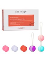 Cal Exotic Novelties She-Ology Interchangeable Weighted Kegel Set