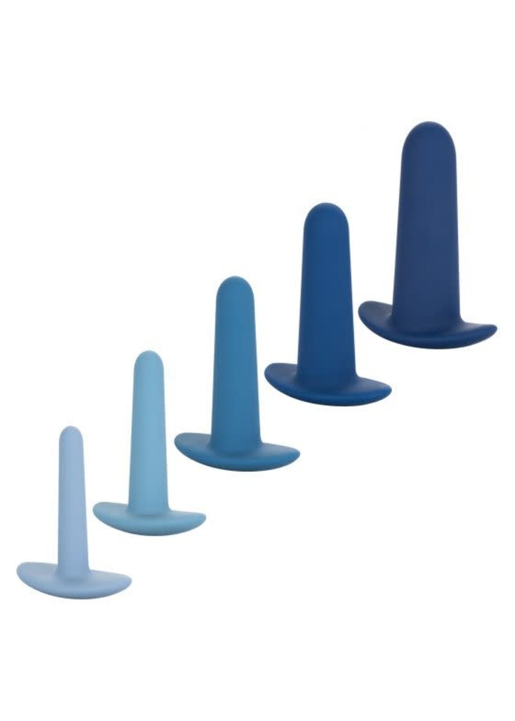 Cal Exotic Novelties They-ology 5-Piece Wearable Anal Training Set