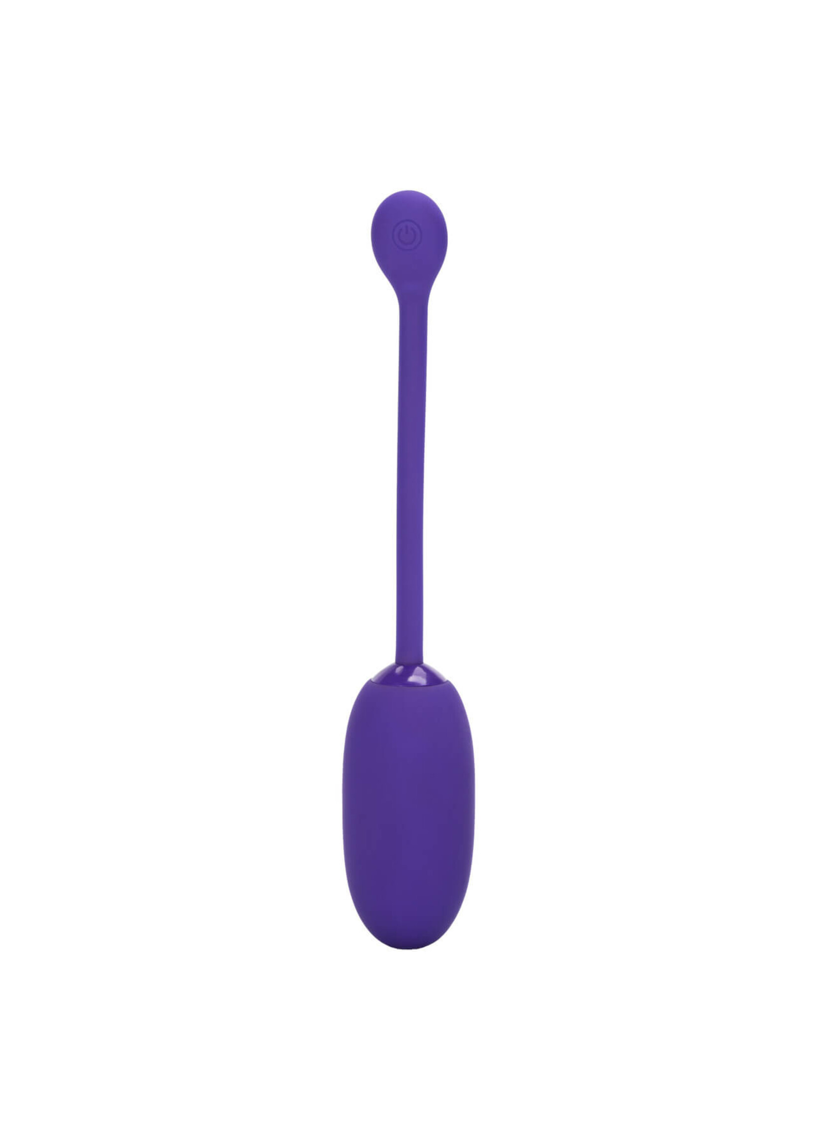 Cal Exotic Novelties Rechargeable Kegel Ball Starter Purple
