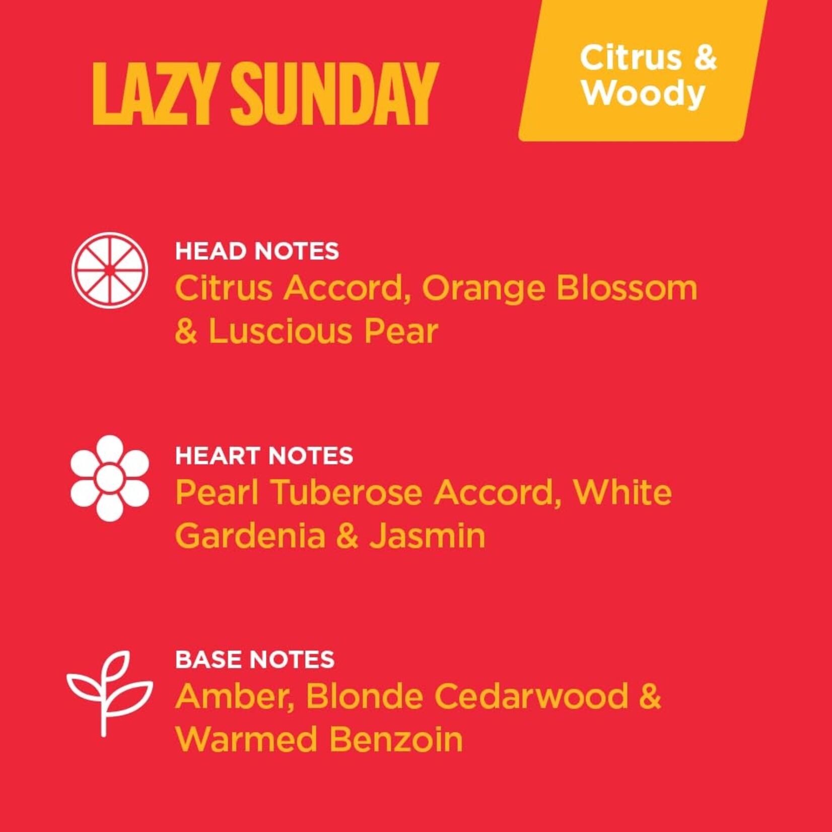 Classic Brands Lazy Sunday 10mL Roll-On