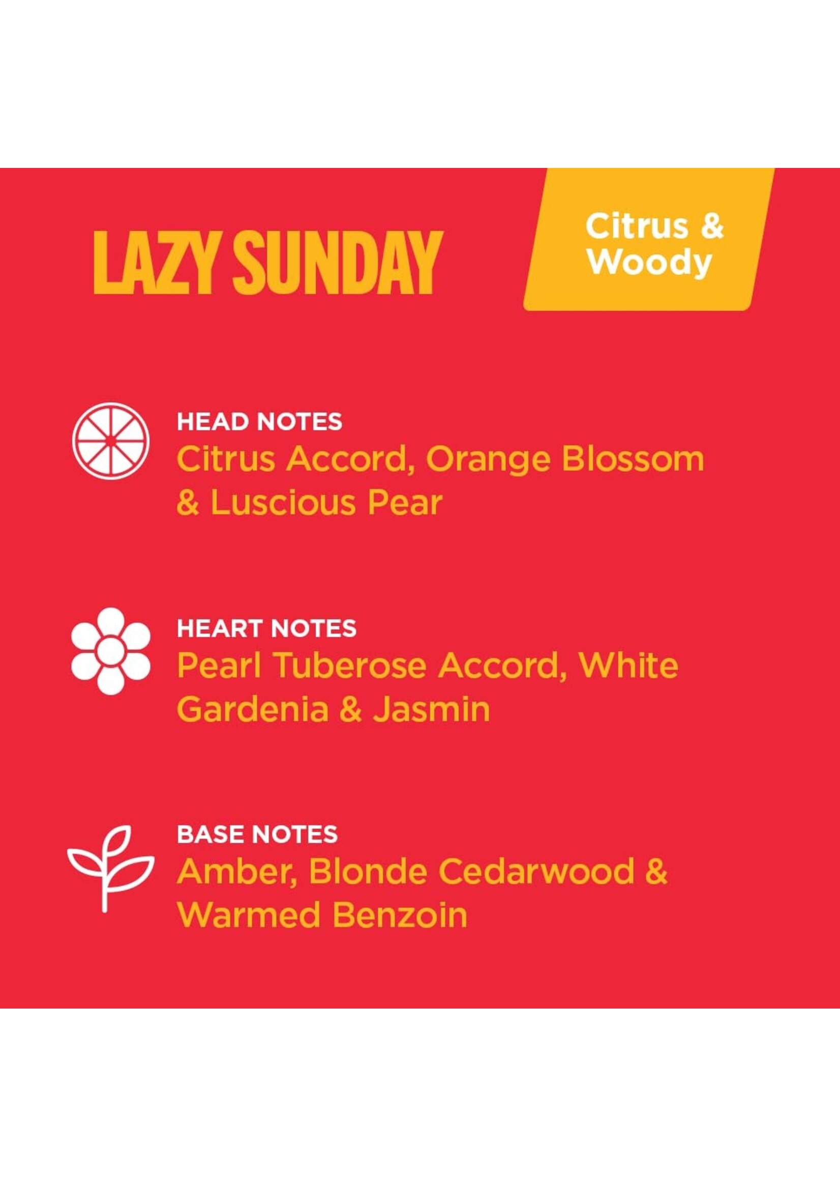 Classic Brands Lazy Sunday 10mL Roll-On