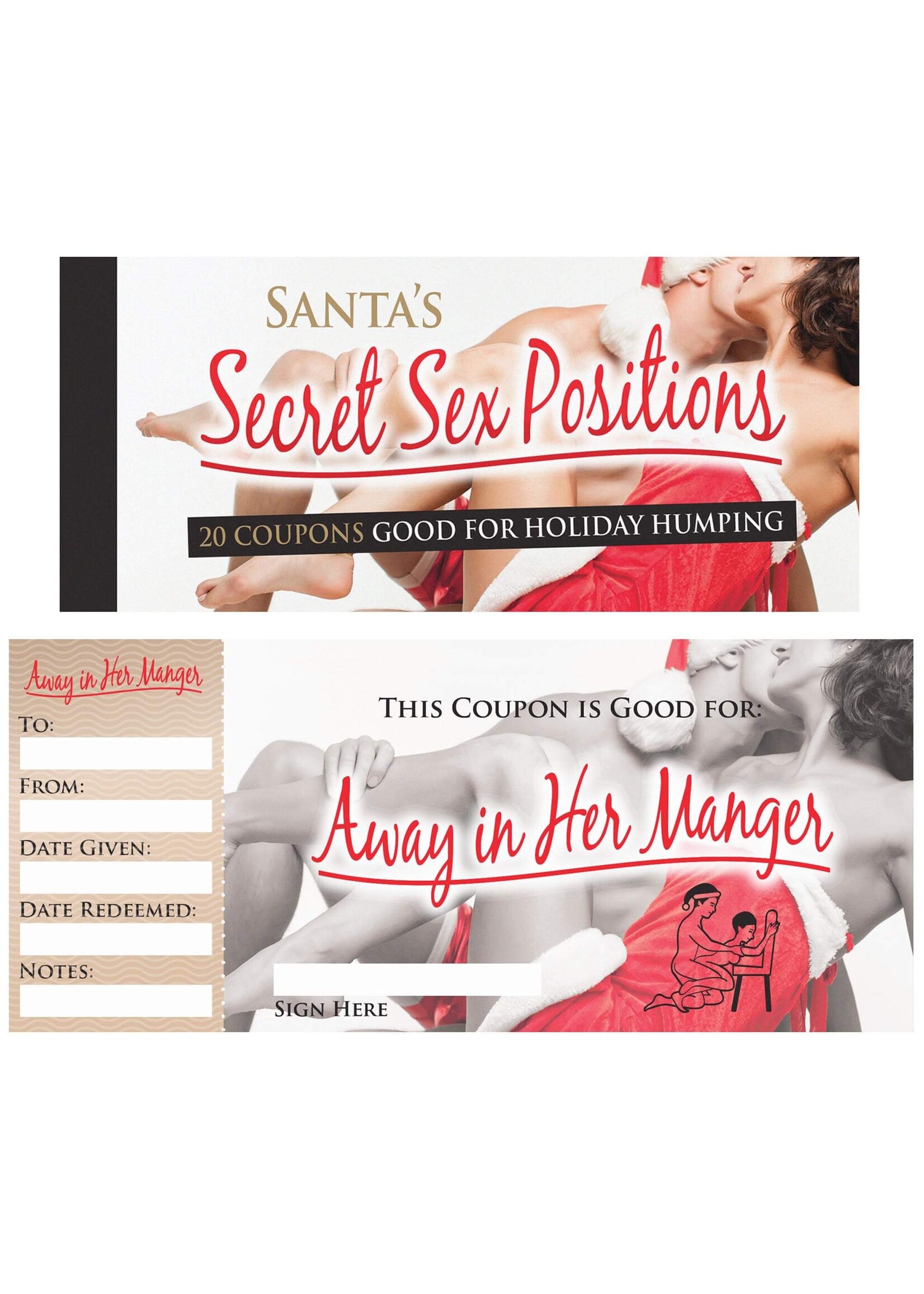 Santa's Secret Sex Position Coupons