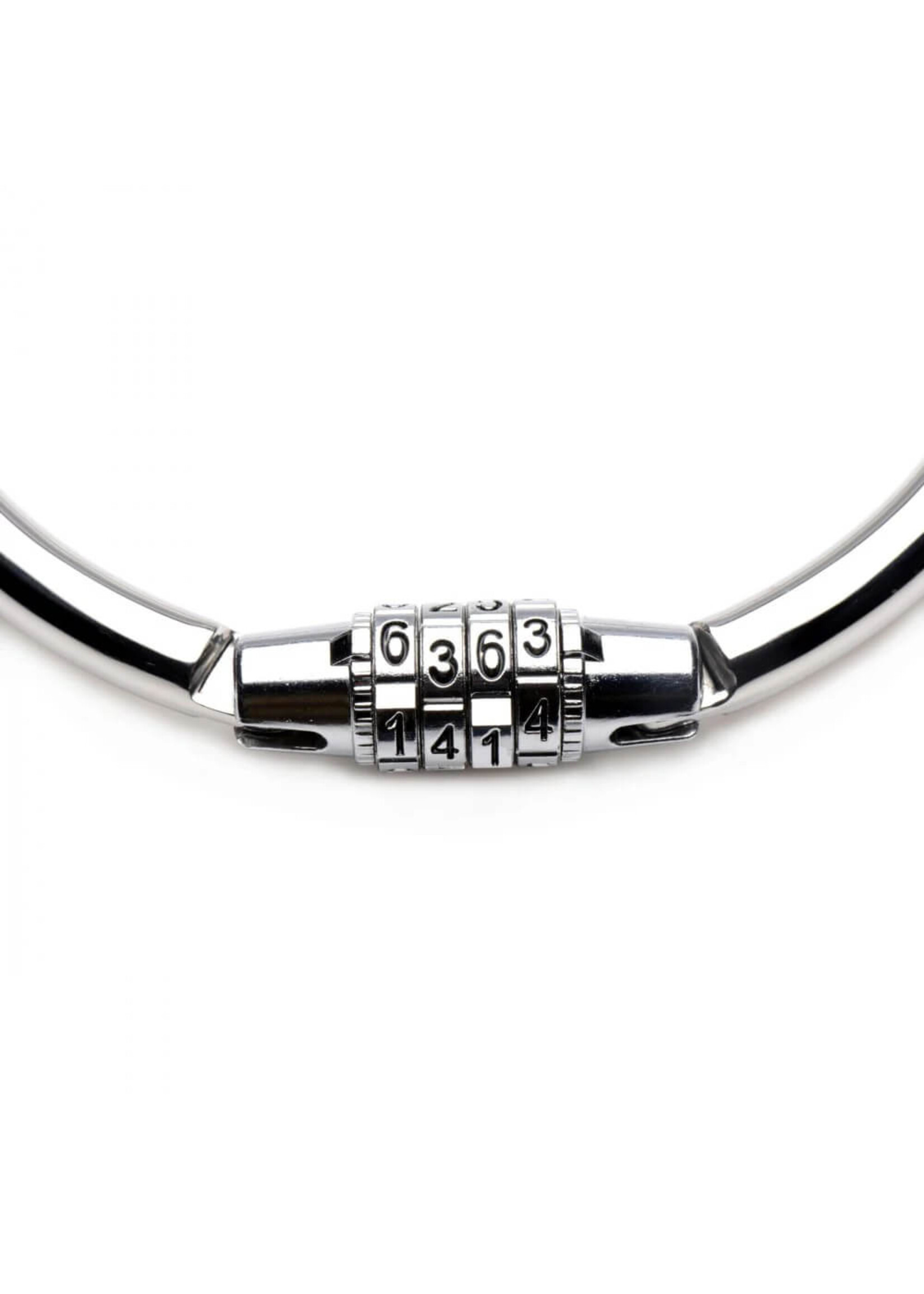 Stainless Steel Combination Lock Slave Collar