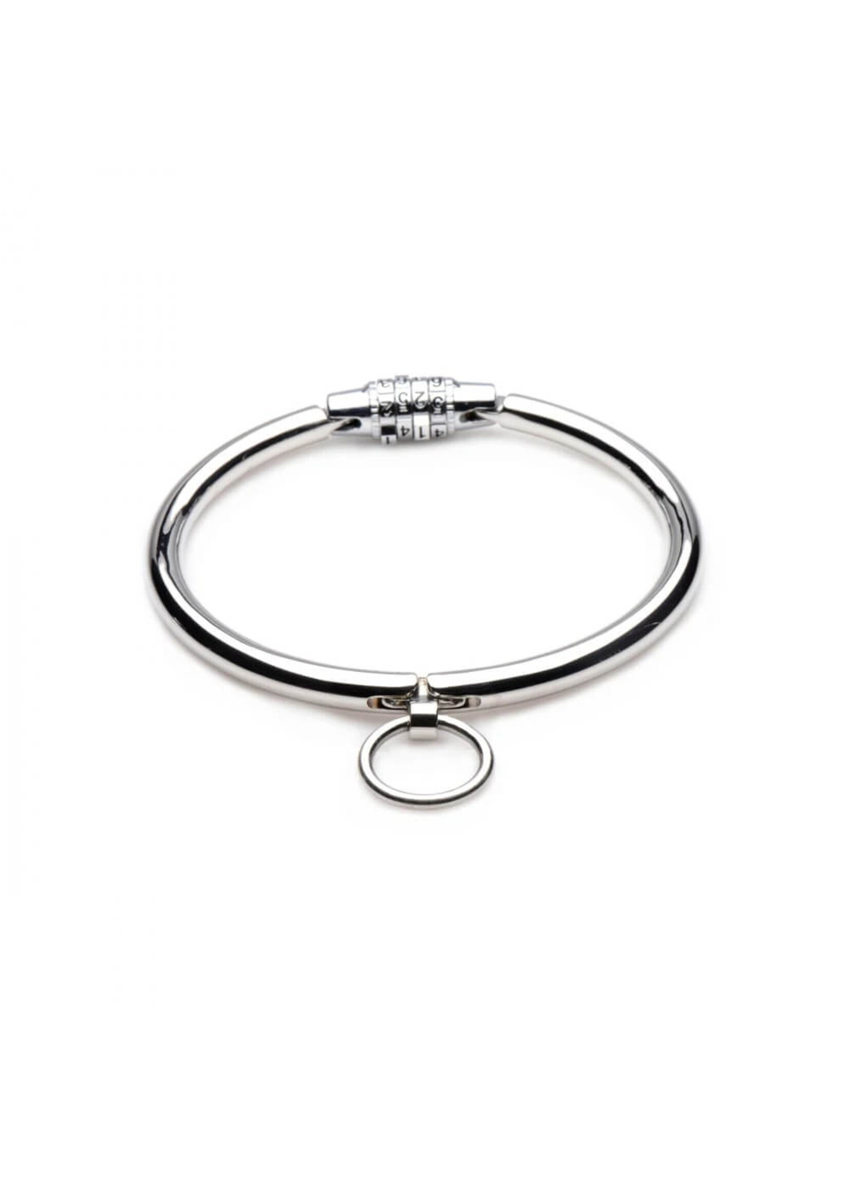 Stainless Steel Combination Lock Slave Collar