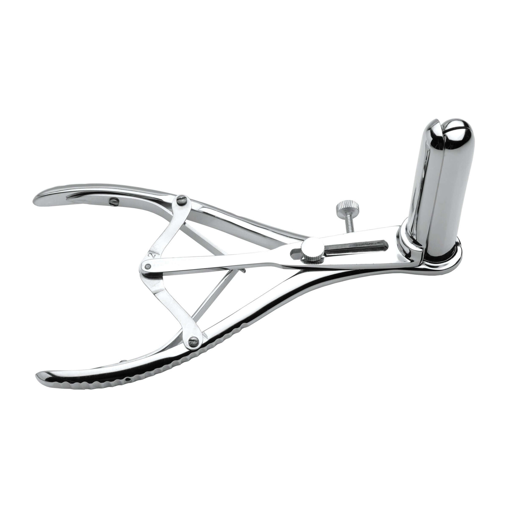 Mistress Anal Speculum