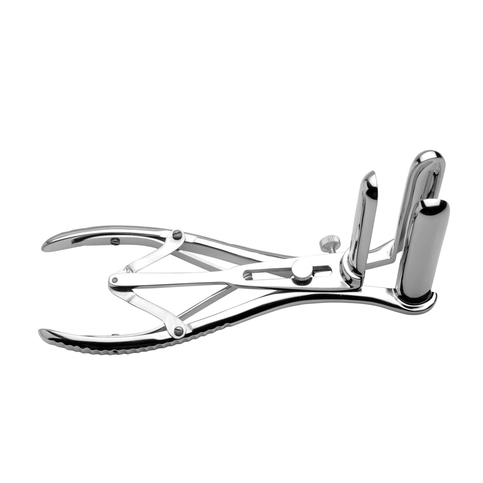 Mistress Anal Speculum
