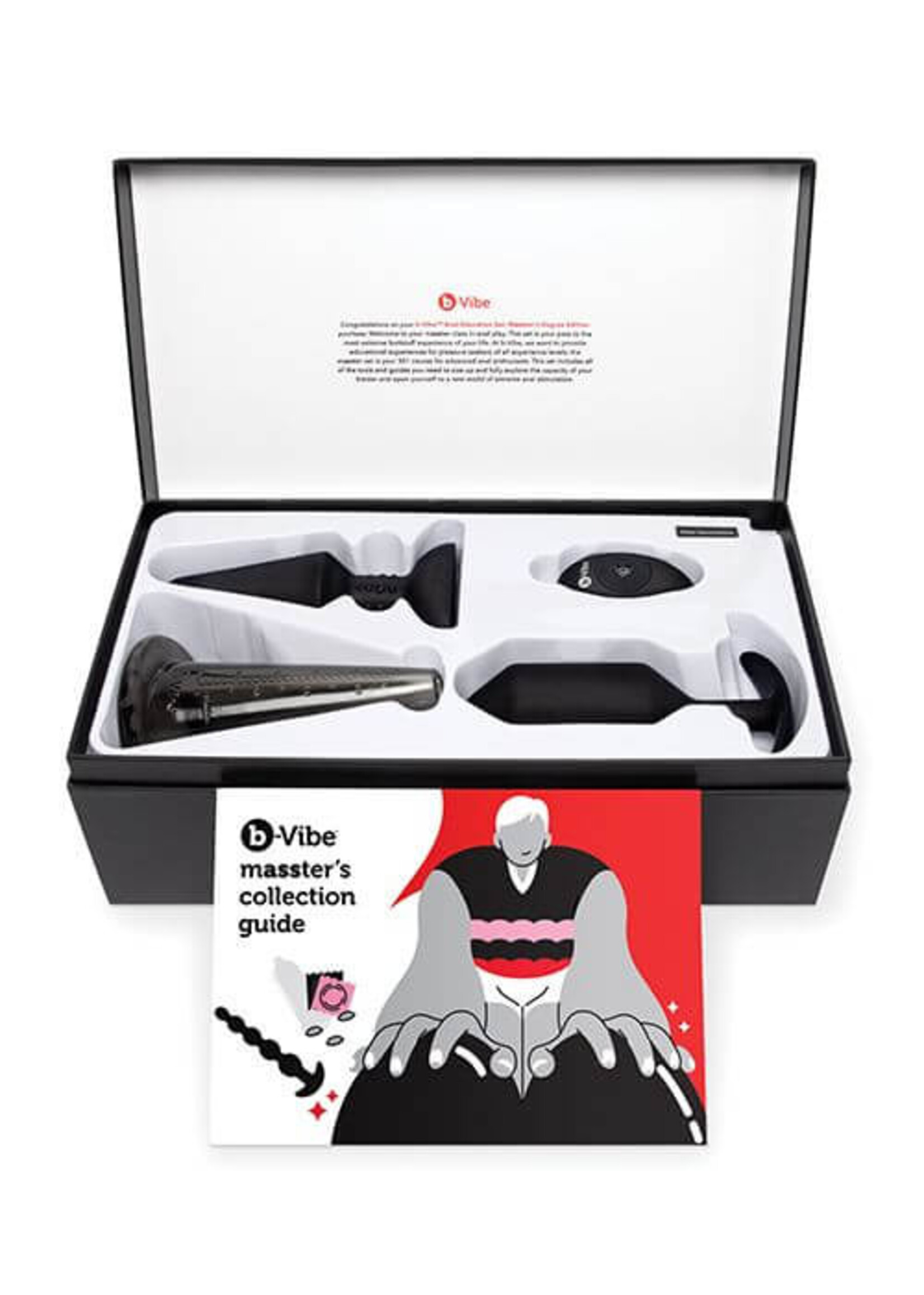 b-Vibe Masster's Degree Edition Anal Education Set