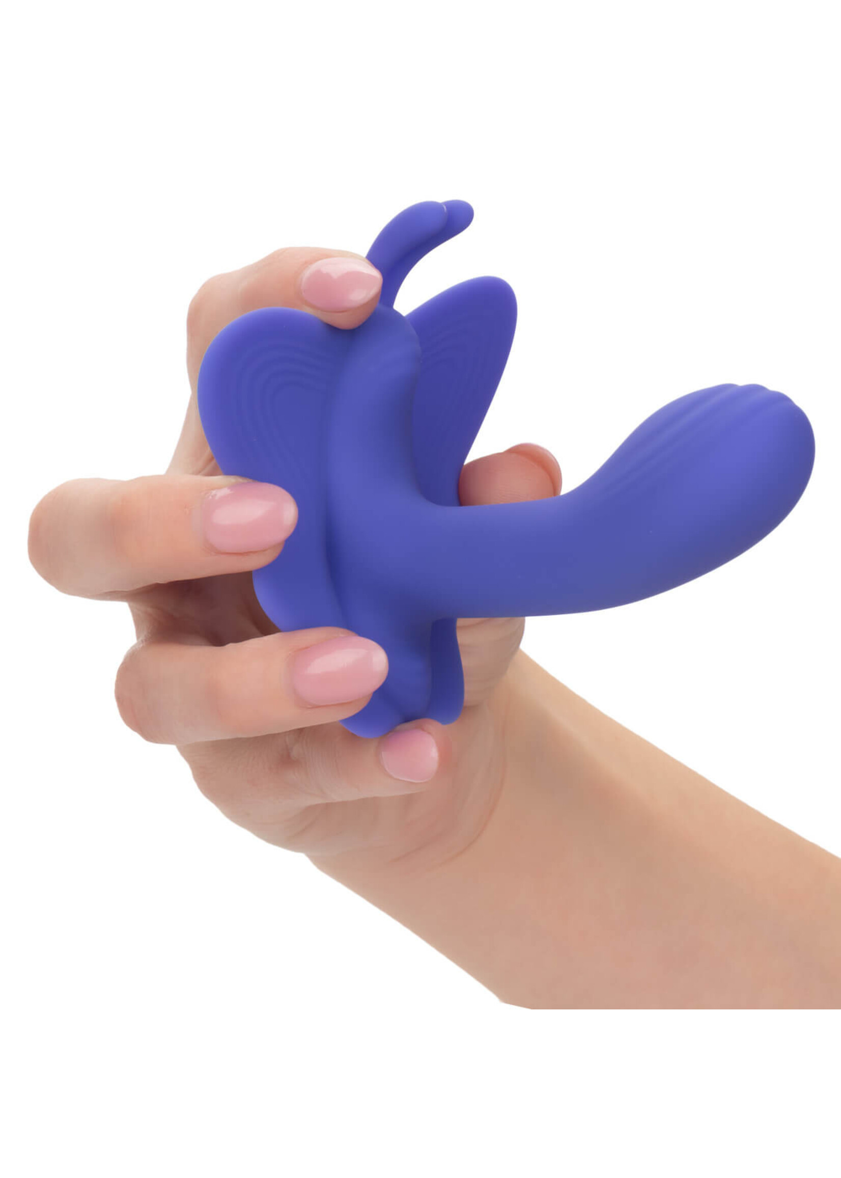 Calexotics Connect CalExotics Connect Venus Butterfly