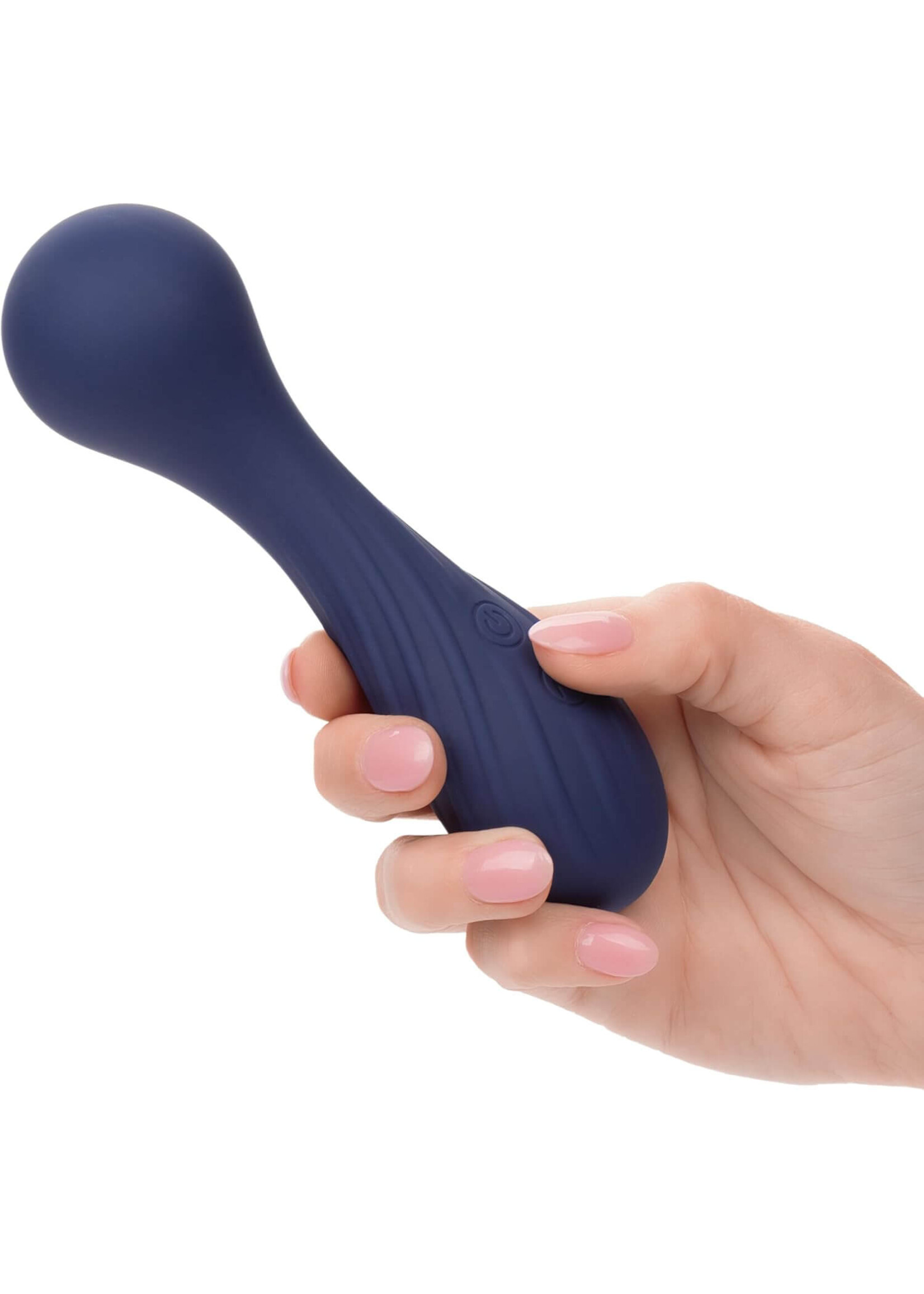 Cal Exotic Novelties Charisma Temptation