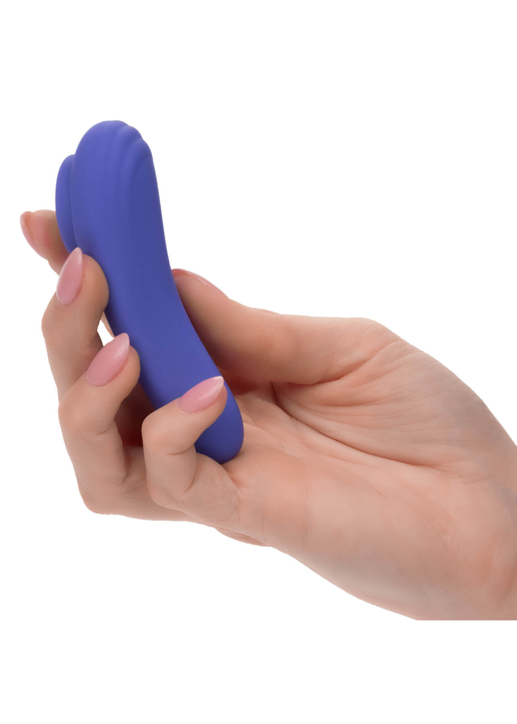 Calexotics Connect CalExotics Connect - Panty Teaser