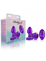 Cheeky Charms Cheeky Charms - Rechargeable Vibrating Metal Butt Plug with Remote Control
