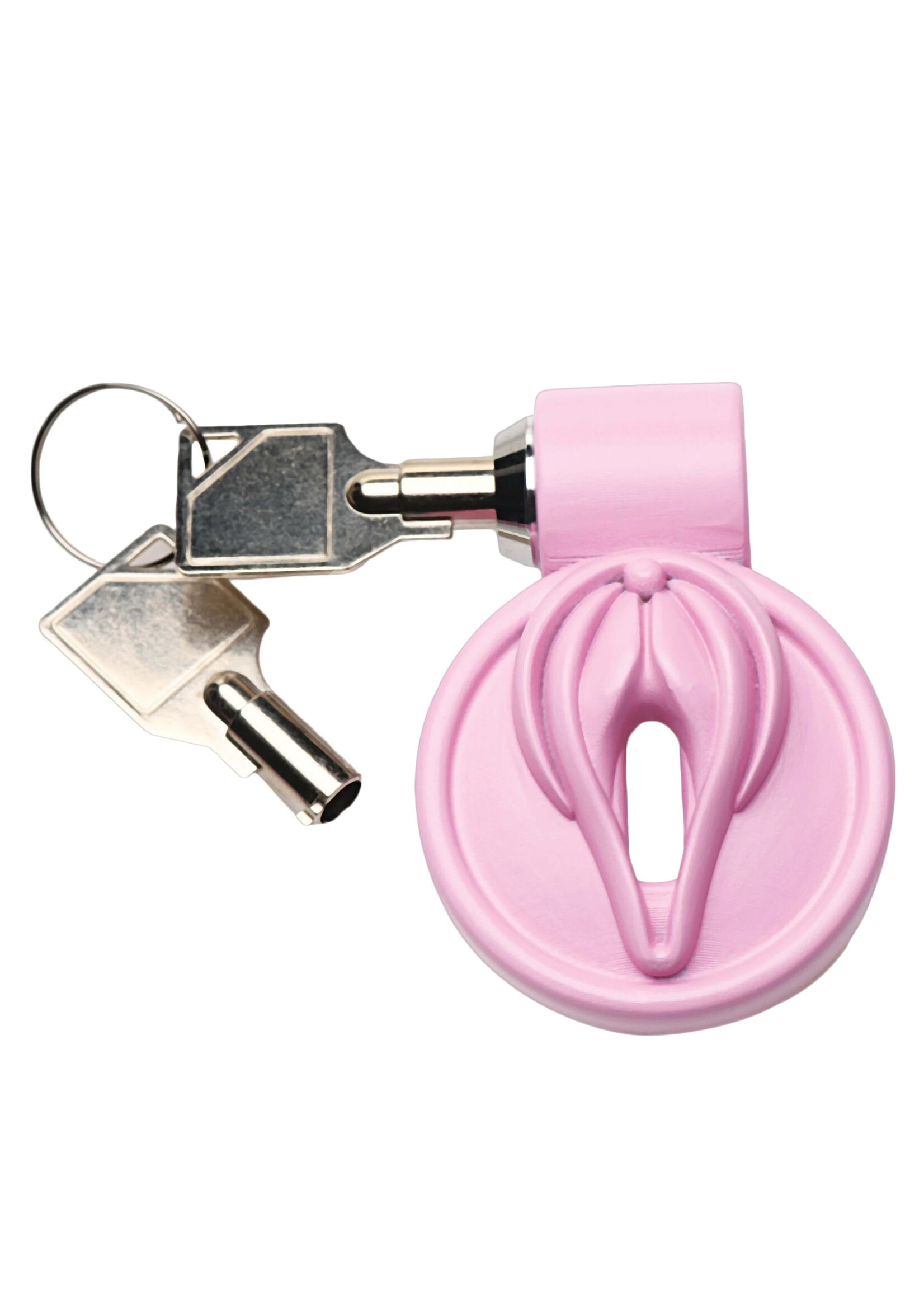 Pussification Vulva Locking Chastity Cage