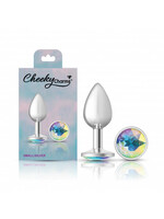 Cheeky Charms Cheeky Charms-Silver Metal Butt Plug- Round