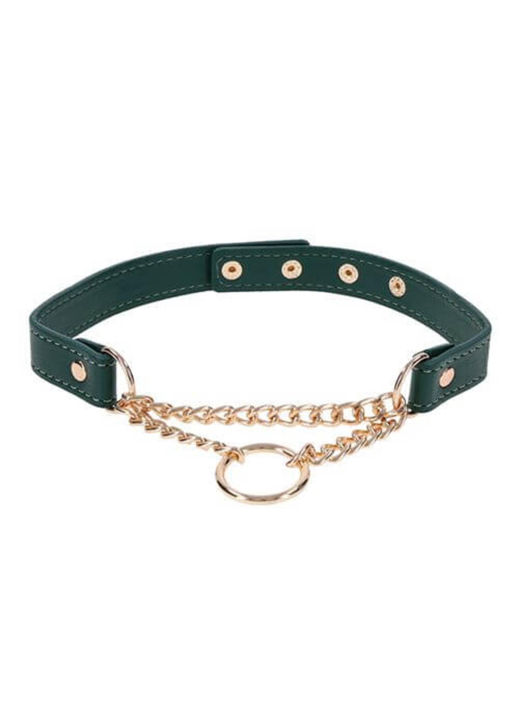 Sportsheets Sex & Mischief Indica Day Collar