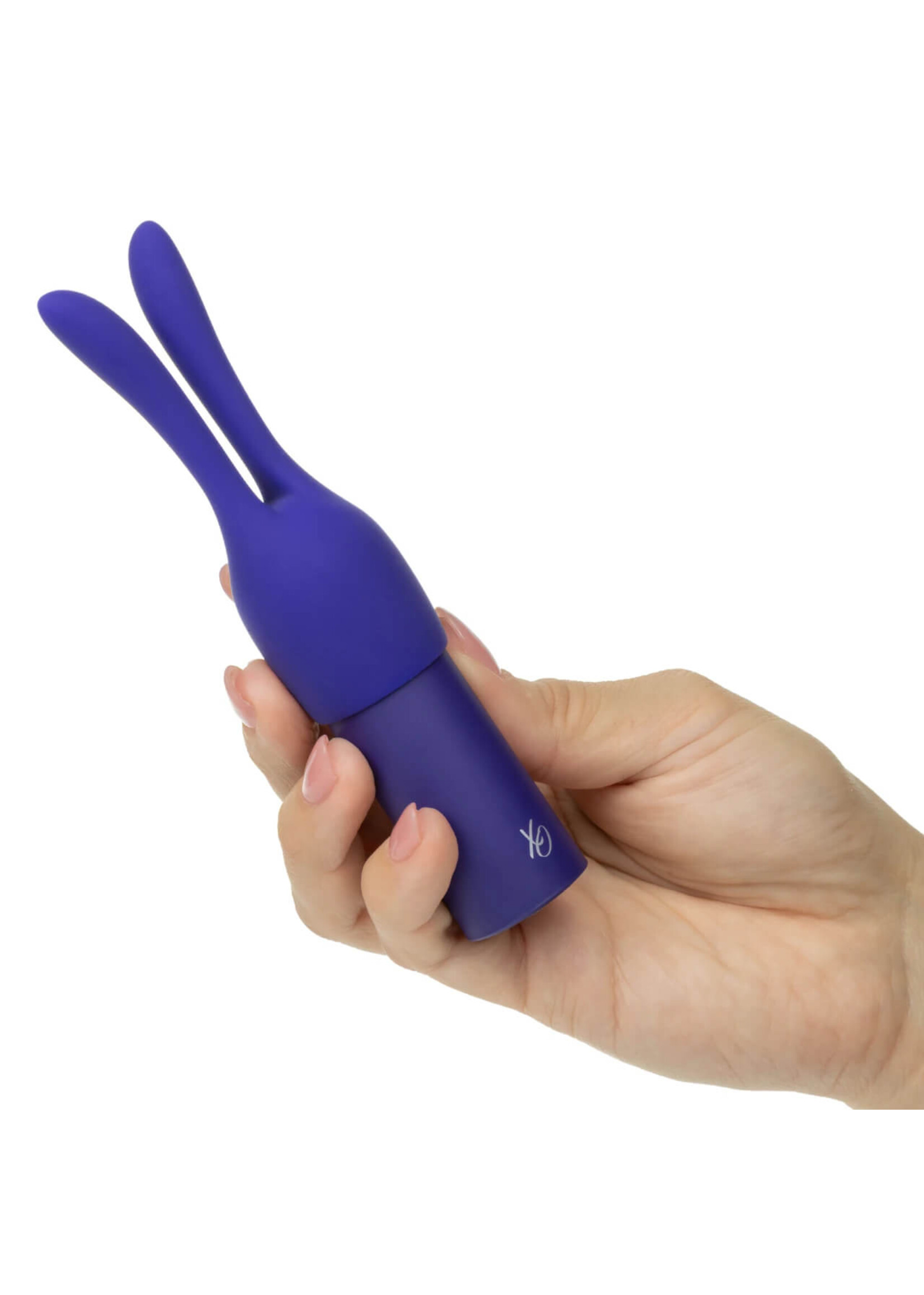 Cal Exotic Novelties Pleasure Kits Temptation Collection