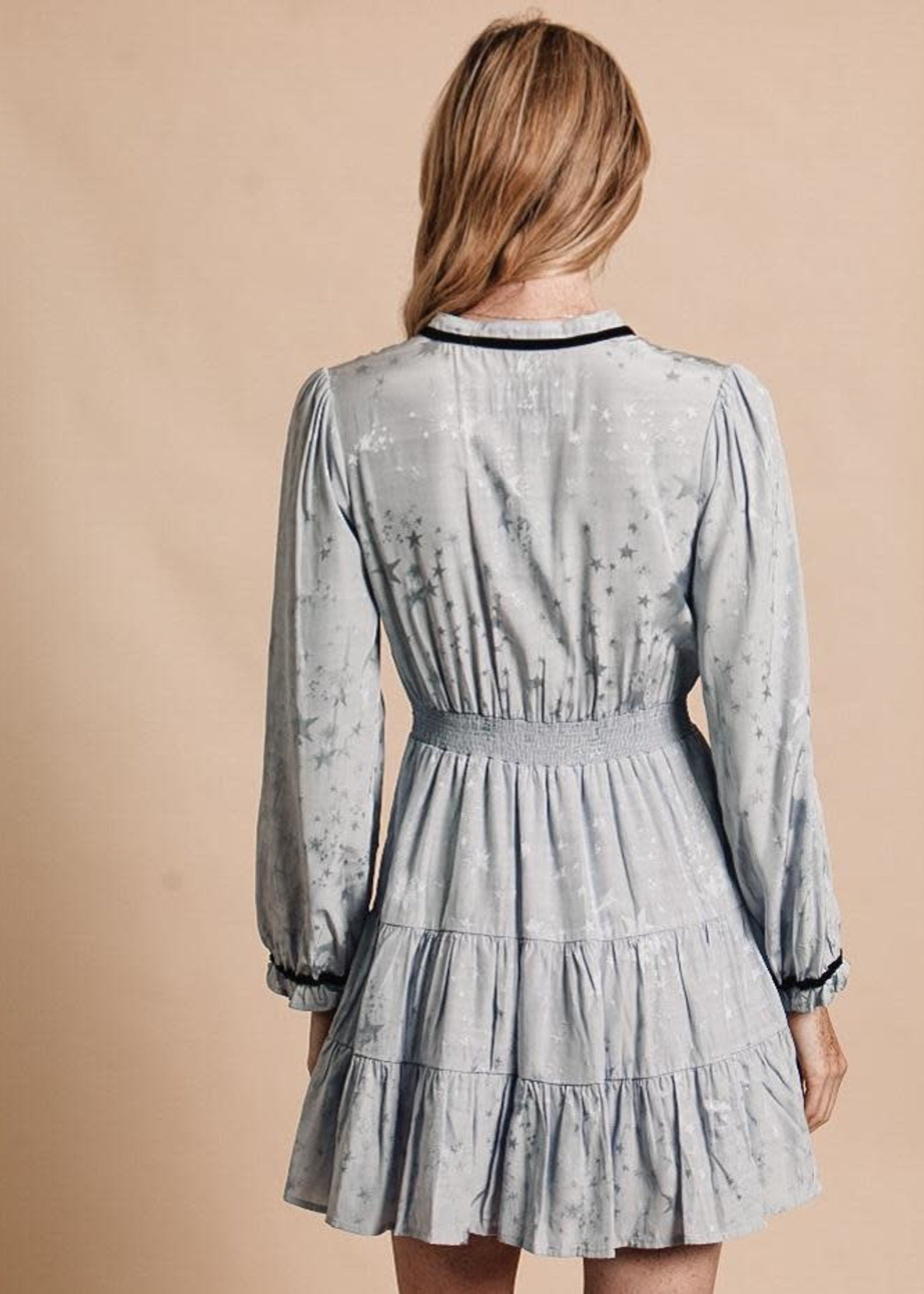 THE SHIRT THE PARKER DRESS