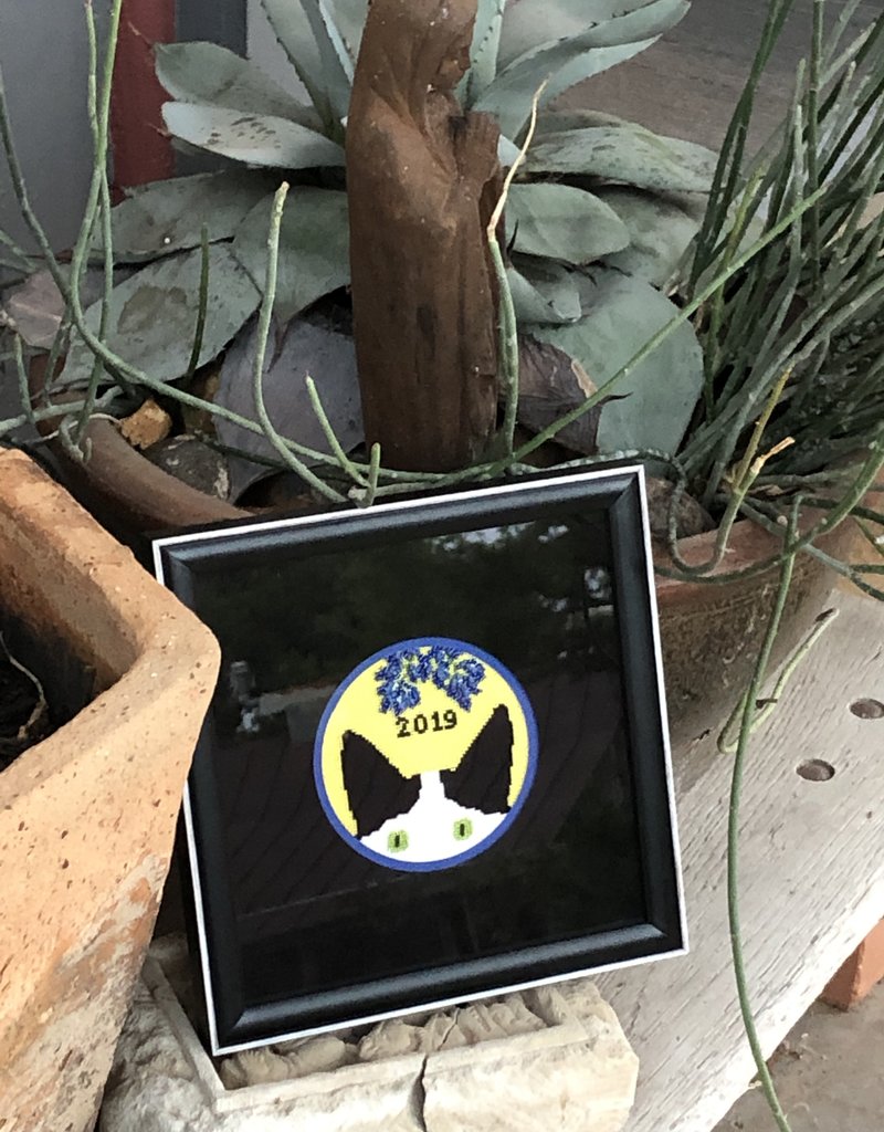 C-102-TW Peeking Miranda, 2019