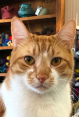 C102-TW2   R. Fenton (18M)