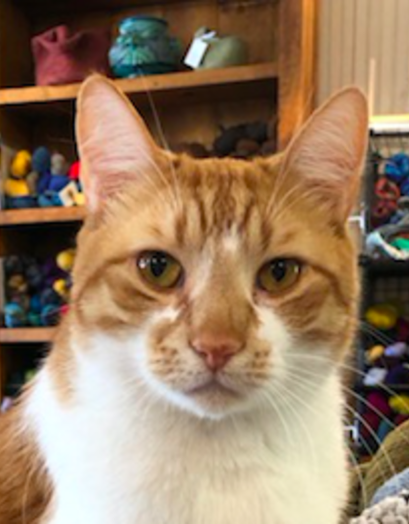 C102-TW2   R. Fenton (18M)