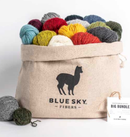 Blue Sky - Woolstok Light Bundle Kit - 14 Colors