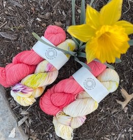 Explore the Rainbow March 2022 -  Sock (Peachberry Sparkle & Greenwich Village)