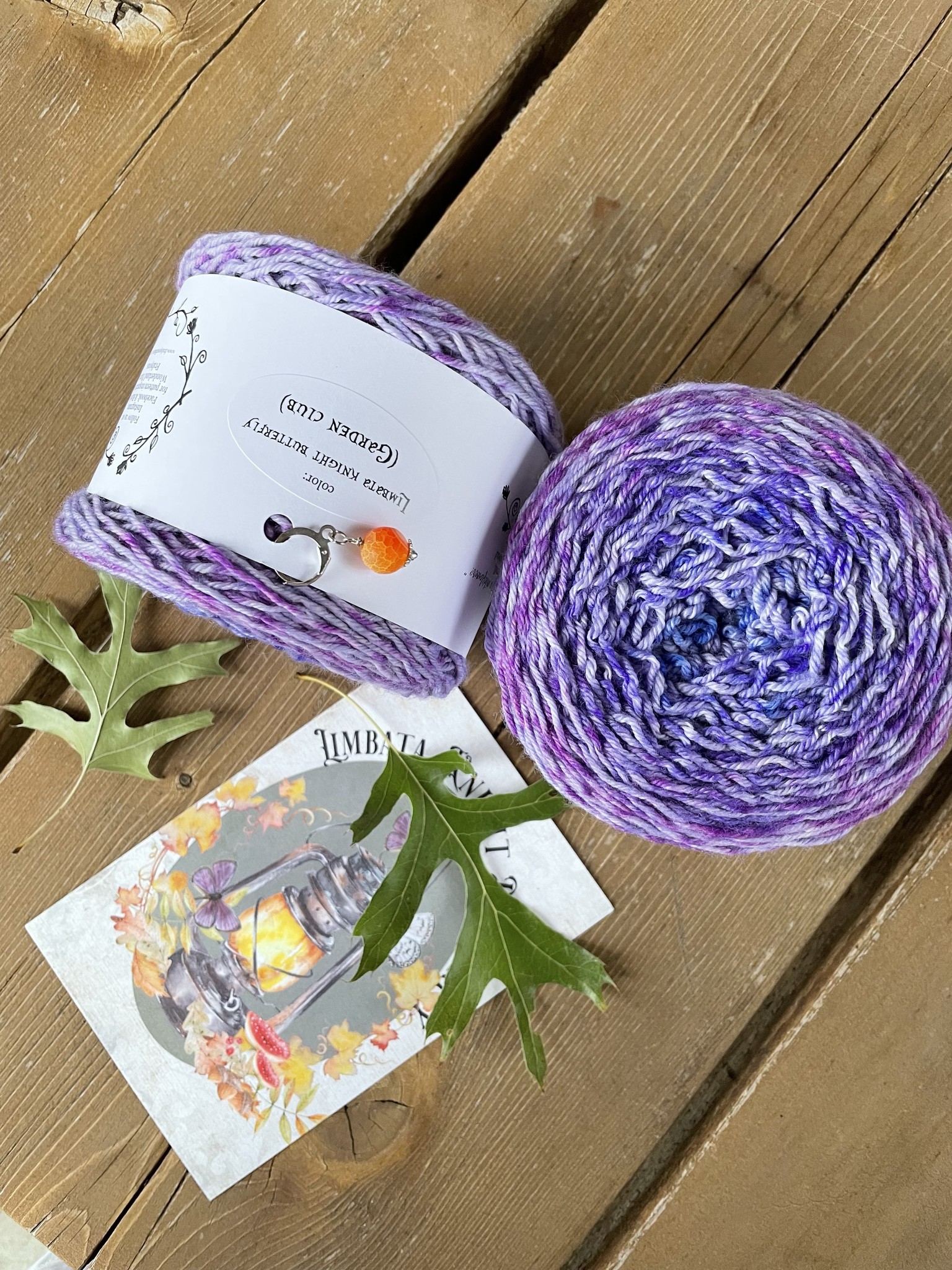 Blossom Garden Society Club 2022 Monthly Visitor Limbata Knight