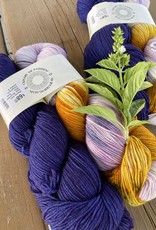 Explore the Rainbow  November 2022 -  Sock (Indigenous Artistry & Clematis)