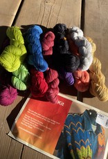 ColorLab Kit (11 Mini Skeins 125yds each)