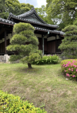 Ancient Arts Socknado, Edo Castle Japan (COTM (7/23)