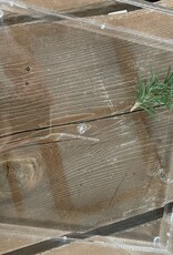 Penny Linn - Acrylic 8" Square Tray