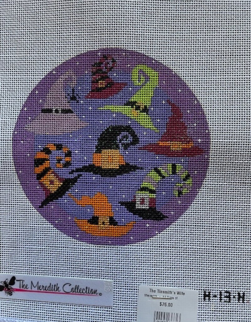 Meredith - 13 Days of Halloween H-13-H Eight Magical Witch Hats (18M)