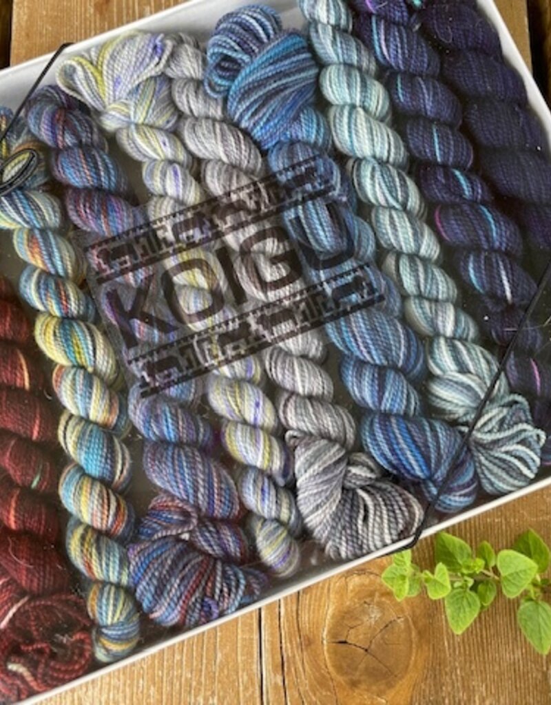 Koigu - Pencil Box LYS Day 2024, Urban Cowboy 1980
