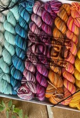 Koigu Pencil Box Collection - Dragonfly