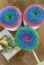 Blossom Garden Society Club June 2024 - Fairy Wrasse Mad Hatter