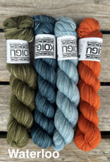 Koigu - Clint Shawl Yarn Pack, Original, Waterloo