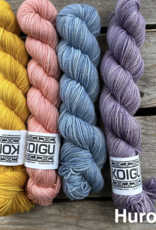 Koigu - Clint Shawl Yarn Pack, Huron