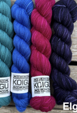 Koigu - Clint Shawl Yarn Pack, Elgin