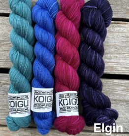 Koigu - Clint Shawl Yarn Pack, Elgin