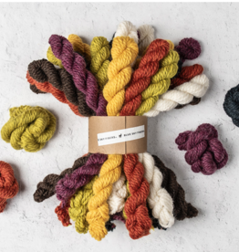 Blue Sky - Woolstok Bundle Kit - Fright and Delight