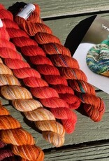 Koigu - Jasmine Watercolor Cowl Kit, Mumsy