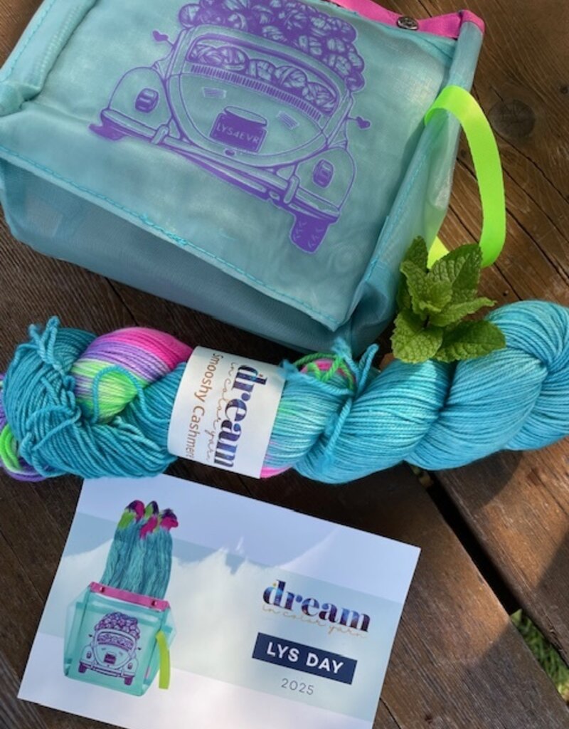 Dream in Color 2025 LYS Day Kit, Mix Tape