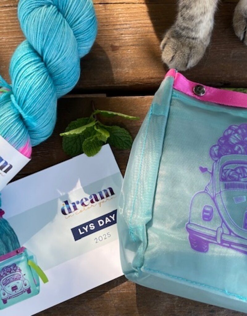 Dream in Color 2025 LYS Day Kit, Mix Tape