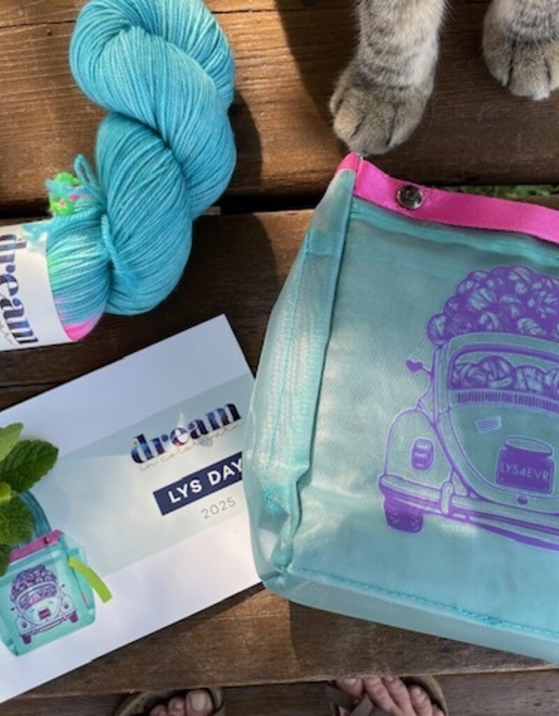 Dream in Color 2025 LYS Day Kit, Mix Tape