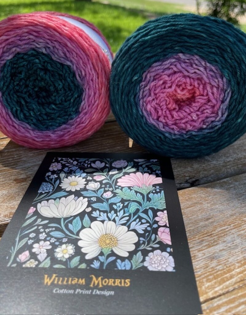 Bloom & Briar Blossom Club, June 2025, Mad Hatter Sport, Impatiens