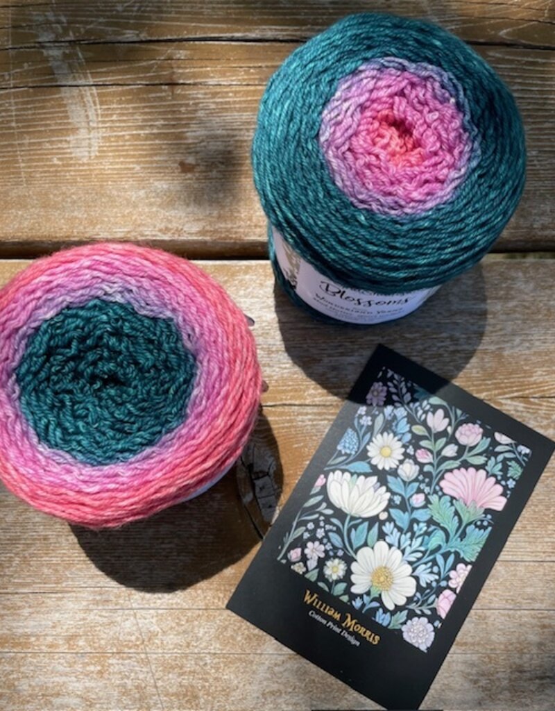 Bloom & Briar Blossom Club, June 2025, Mad Hatter Sport, Impatiens
