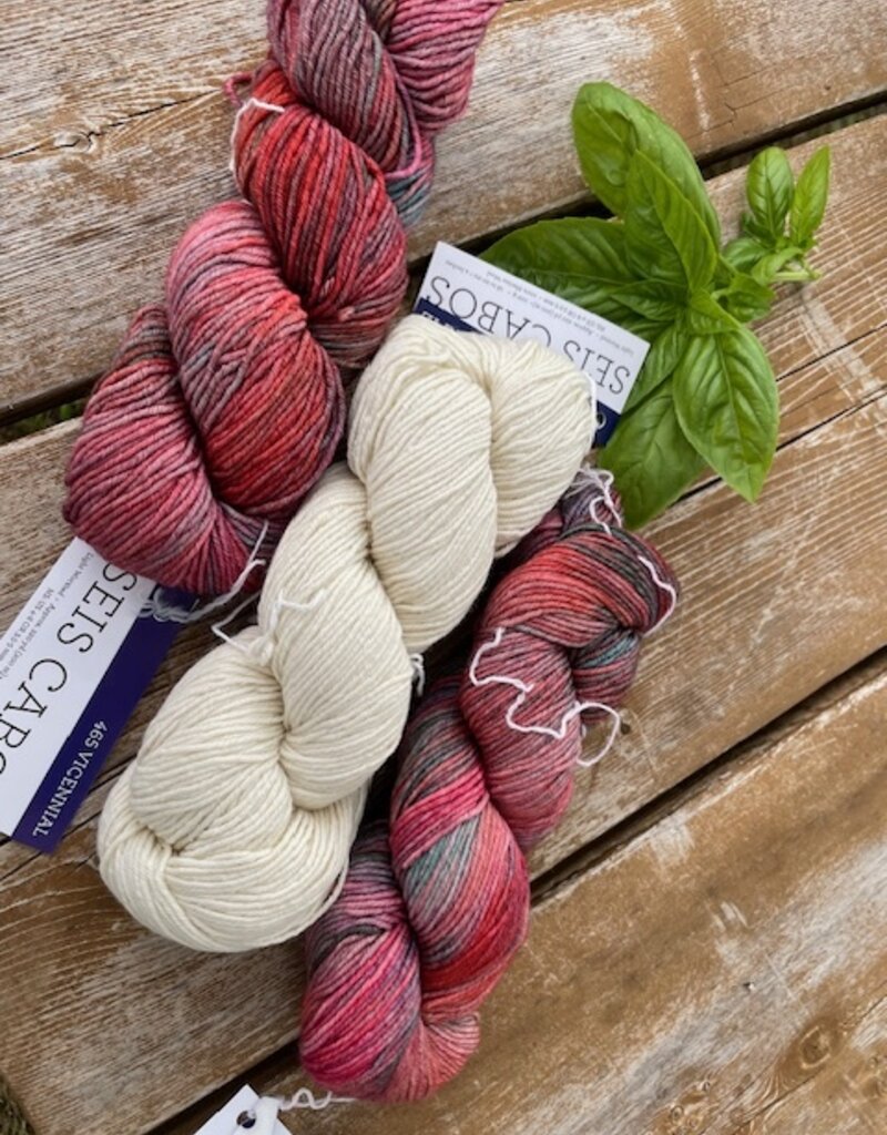 Malabrigo Barnstable Kit, Vicennial & Natural