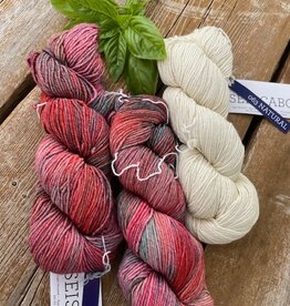 Malabrigo Barnstable Kit, Vicennial & Natural