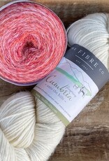 Fibre Co. - Transitions:  Daybreak Shimmer