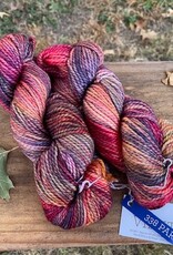 Malabrigo Vientos 338 Paracas